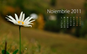 Calendar Noiembrie 2011