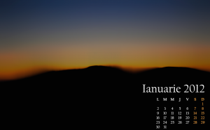 Calendar Ianuarie 2012
